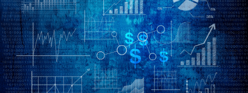 ERP Consultant Salary Perspective