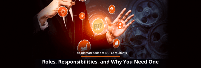 ERP Consultants: Roles, Responsibilities & Benefits | Guide