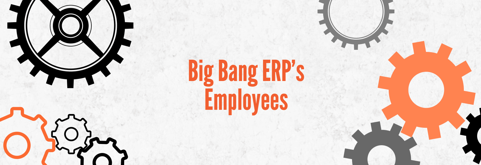 Fun Facts About Big Bang ERP’s Team