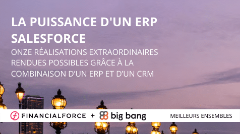La puissance d’un ERP Salesforce