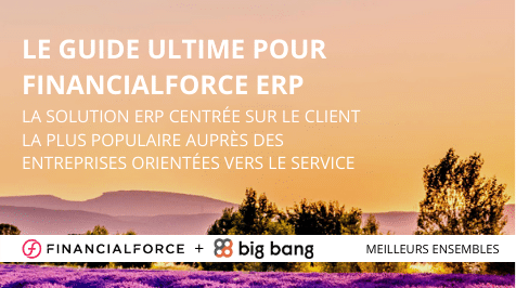 Le guide ultime pour FinancialForce ERP