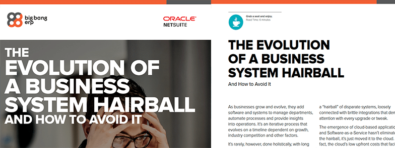 NetSuite: The Evolution of a Business System Hairball and How to Avoid it