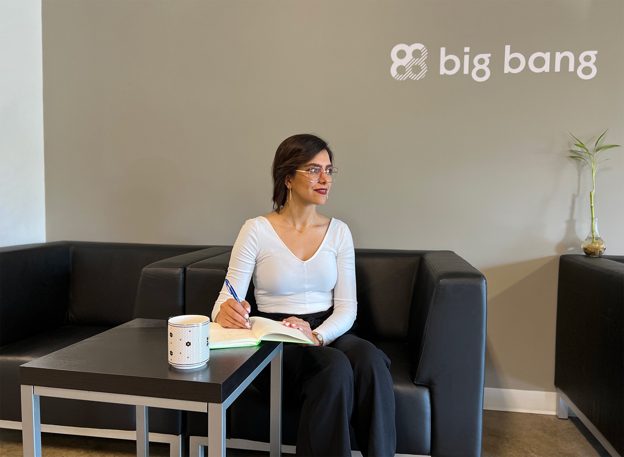 Experte-conseil Big Bang