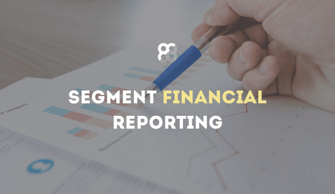 Segment Financial Reporting