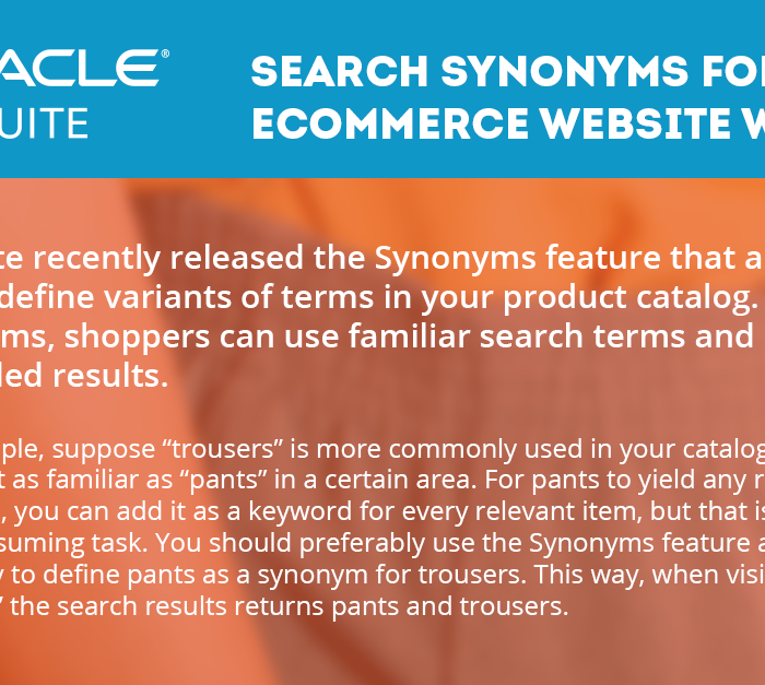 NetSuite: Search Synonyms