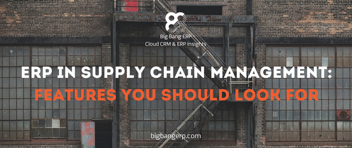 ERP in supply chain management: features you should look for