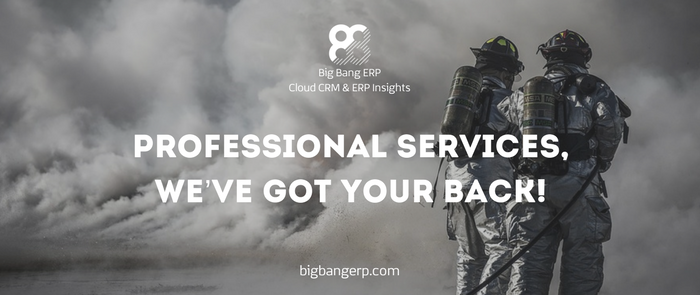 Professional Services, We’ve Got Your Back!