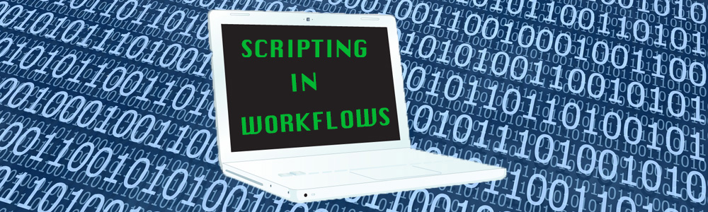Scripting in workflow