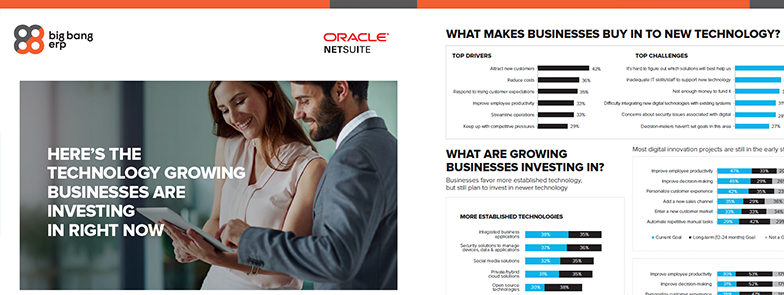 NetSuite: Technology in Growing Businesses