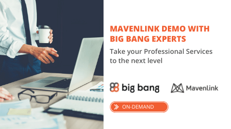 [Demo] Mavenlink for Service Customers