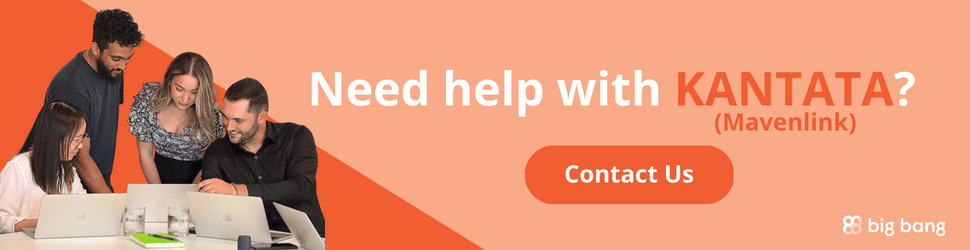Need Help With Kantata (Mavenlink) - Contact Us