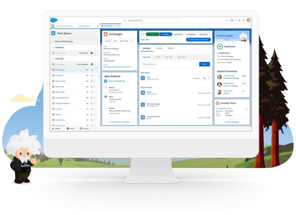 high velocity sales dashboard salesforce